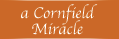 a Cornfield Miracle
